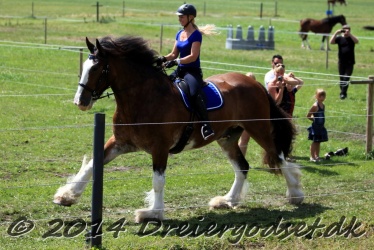 galop p   tid 047