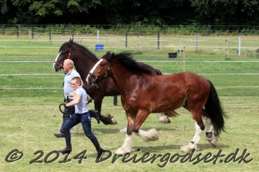 travl  bet 010
