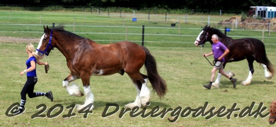 travl  bet 011