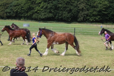 travl  bet 013