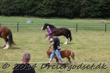 travl  bet 015