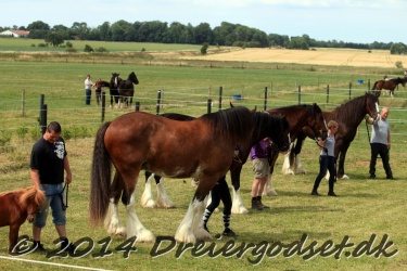 travl  bet 018