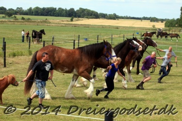 travl  bet 020