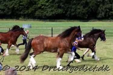 travl  bet 022