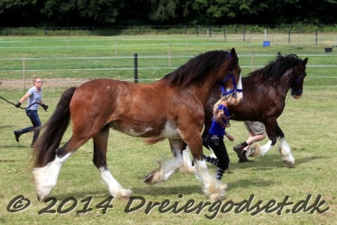 travl  bet 024