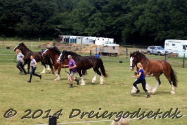 travl  bet 027