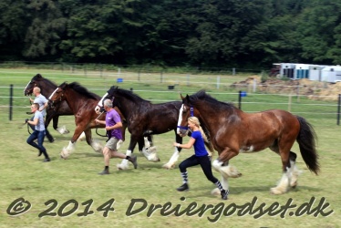 travl  bet 028