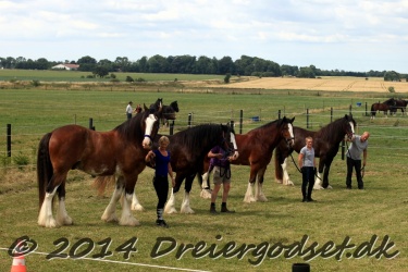 travl  bet 031