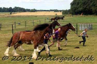 travl  bet 032
