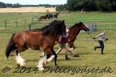 travl  bet 033