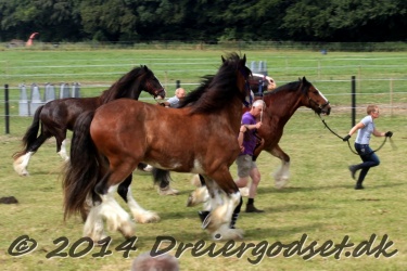 travl  bet 035