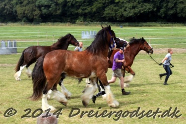 travl  bet 036