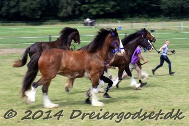 travl  bet 037
