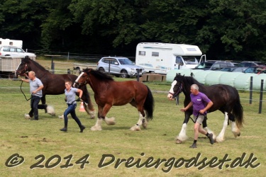travl  bet 041