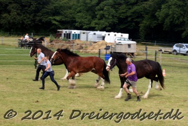 travl  bet 043