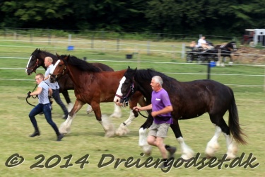 travl  bet 044