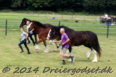 travl  bet 045