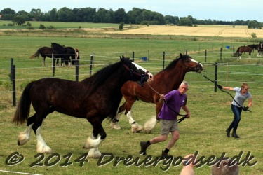 travl  bet 047