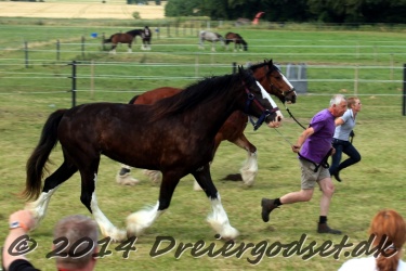 travl  bet 048