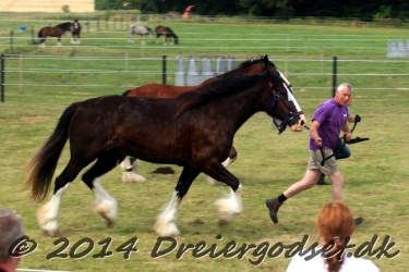 travl  bet 049
