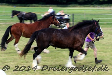 travl  bet 050