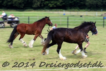 travl  bet 051