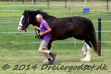 travl  bet 052