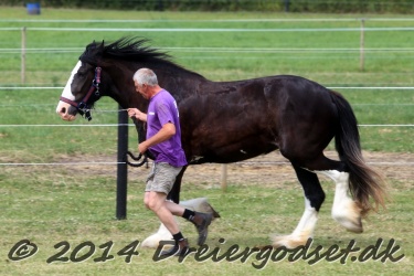 travl  bet 053