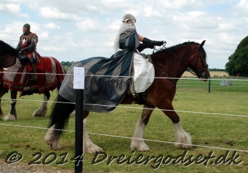 DSC 1737