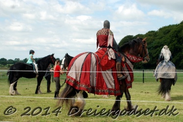 DSC 1739