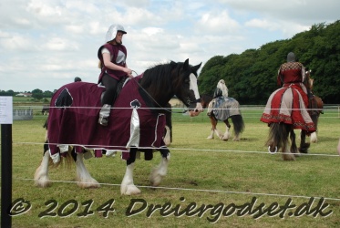 DSC 1740
