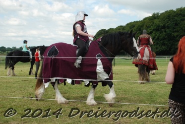 DSC 1741