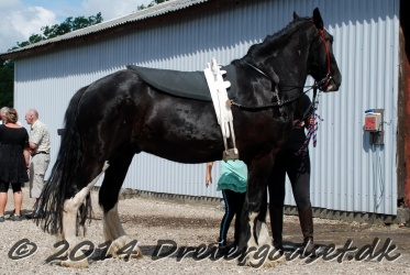 DSC 1744