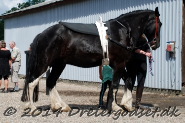 DSC 1745