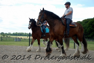 DSC 1768