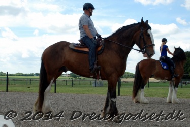 DSC 1774