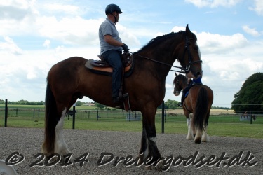 DSC 1775