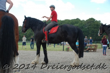 DSC 1778