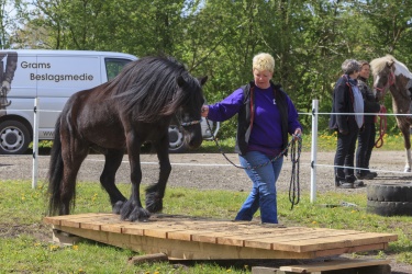 Agility Middel-018