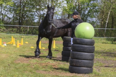 Agility Middel-027
