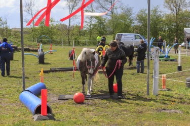 Agility Middel-047