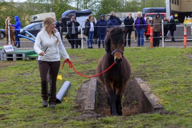 Agility Middel-078