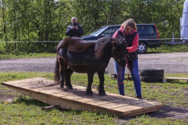 Agility Svaer 014