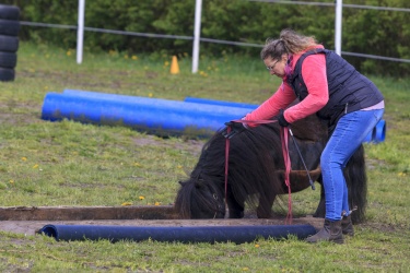 Agility Svaer 016