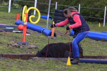 Agility Svaer 017