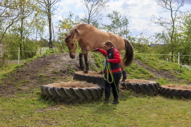 Agility Svaer 035