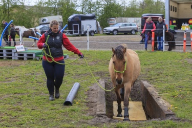 Agility Svaer 039