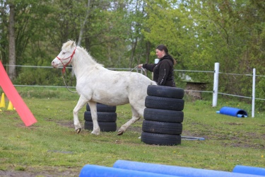 Agility Svaer 047