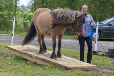 Agility Svaer 048