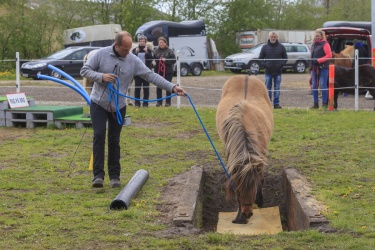 Agility Svaer 049